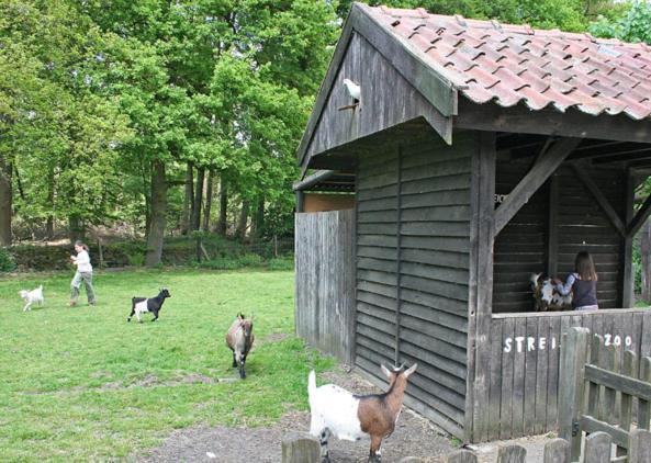 Land Gut Hotel Ritter Stadtlohn Buitenkant foto